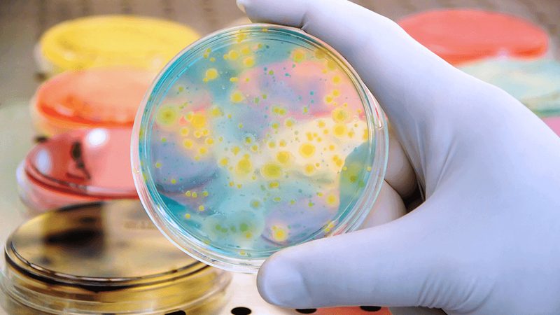 北京科研生物试剂市场：揭秘优质厂家背后的秘密**