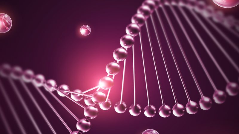 引物合成与修饰：揭秘分子生物学中的关键差异**
