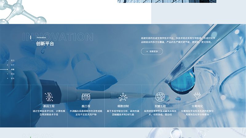 分子生物学试剂：揭秘十大品牌背后的技术实力**