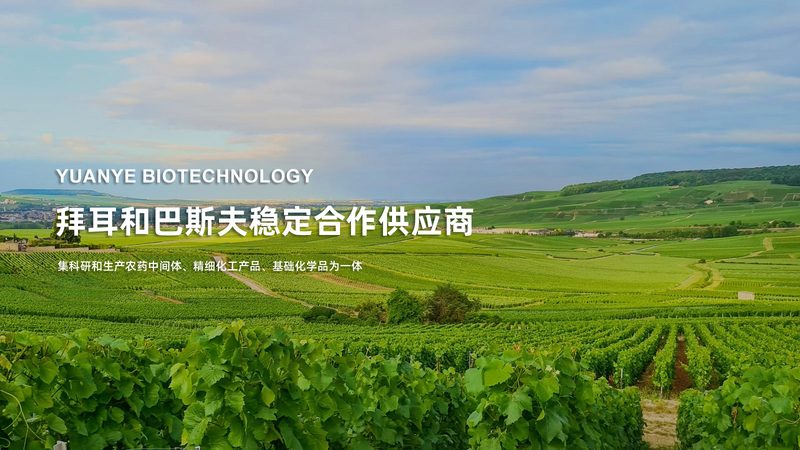 生物制品与化学药品采购注意事项