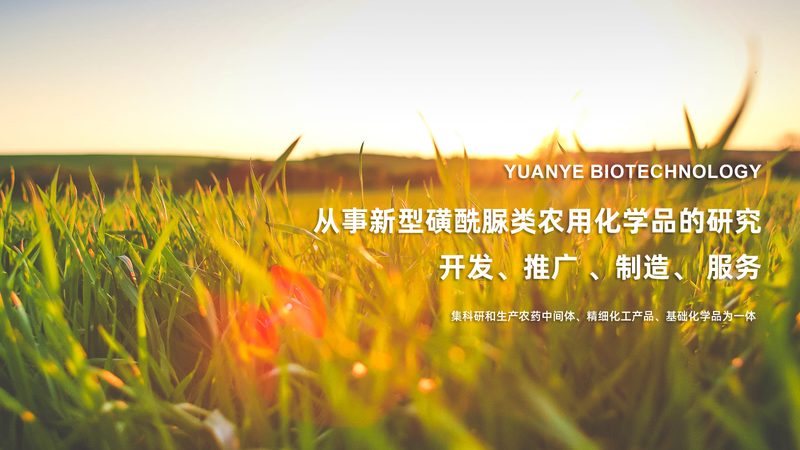 微量离心管规格解析：选择与实验需求相匹配的利器