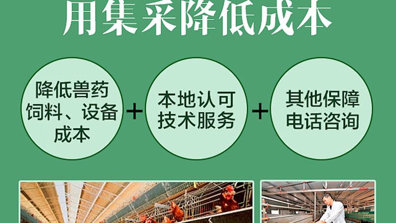 引物修饰不是越全越好，选型逻辑比规格表更重要