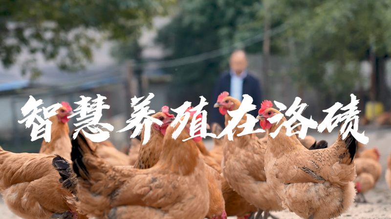试剂选择误区：价格与质量成正比