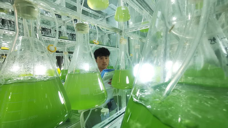 生物制品厂家直供：揭秘背后的价格与价值